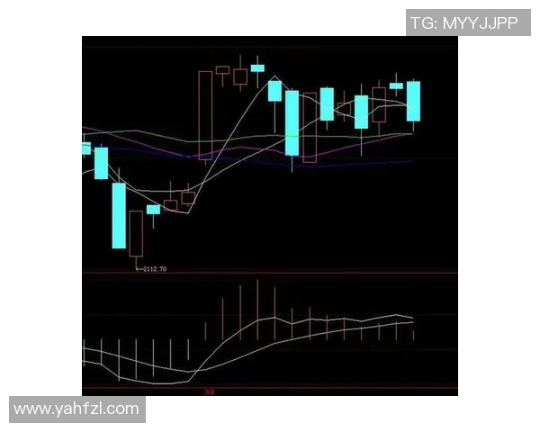 西安极限运动队防守策略分析及其在比赛中的成效探讨